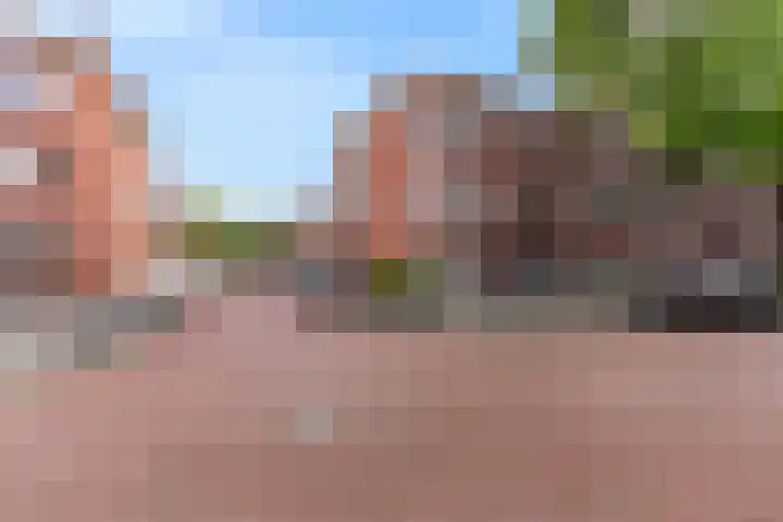 Perenstraat 12 Den Haag thumbnail 5