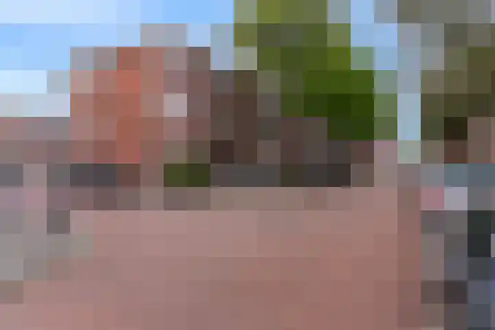 Perenstraat 12 Den Haag thumbnail 6