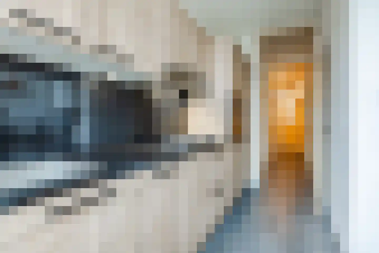 Perenstraat 129 Den Haag thumbnail 22