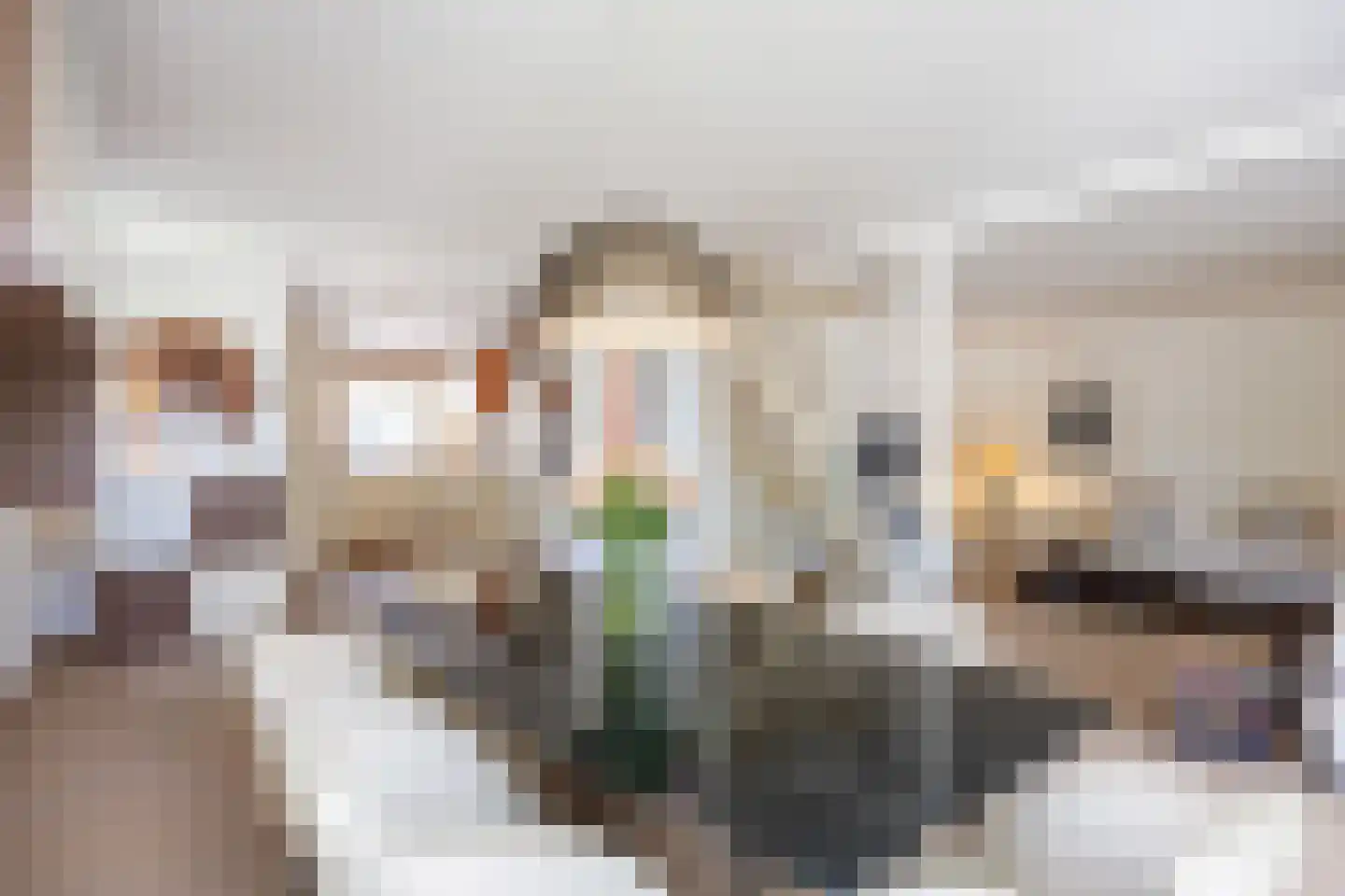 Perenstraat 13 Assen thumbnail 20