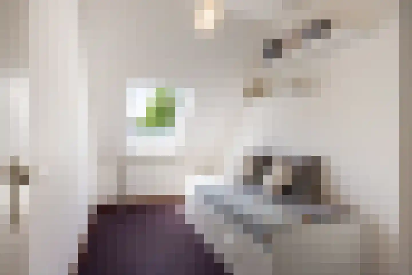Perenstraat 13 Assen thumbnail 34