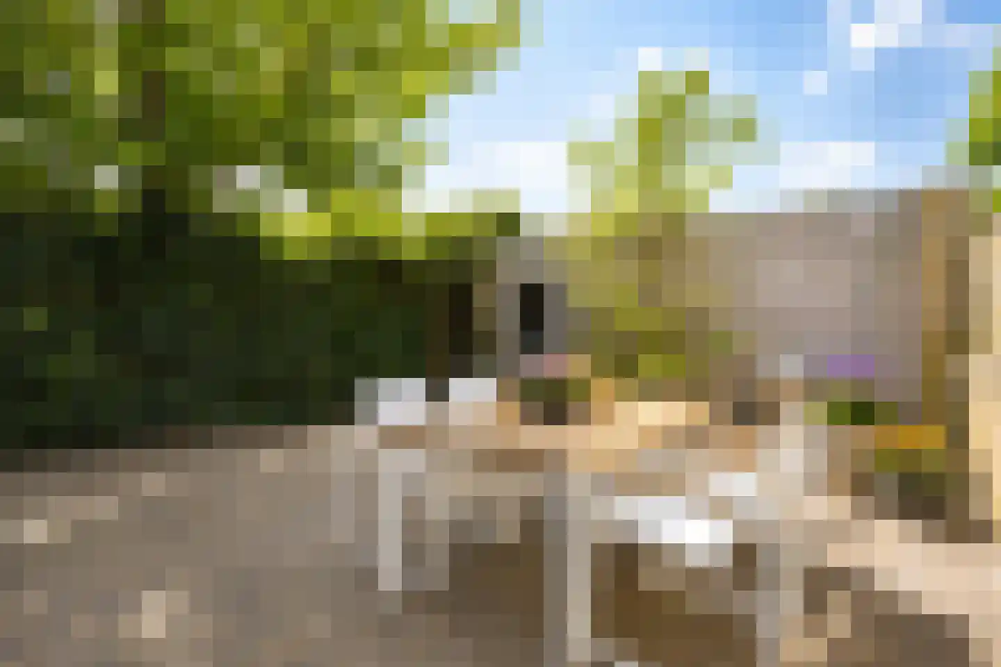 Perenstraat 13 Assen thumbnail 44