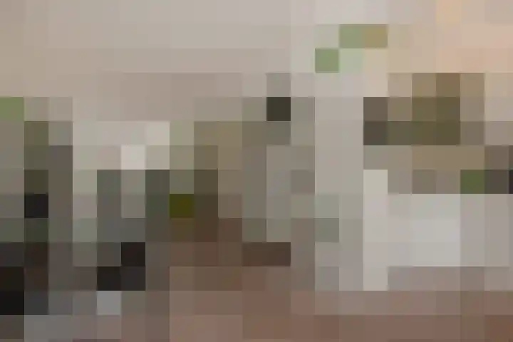 Perenstraat 165 in Den Haag