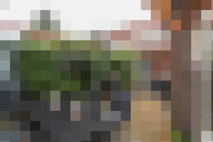 Perenstraat 2 Den Haag thumbnail 31