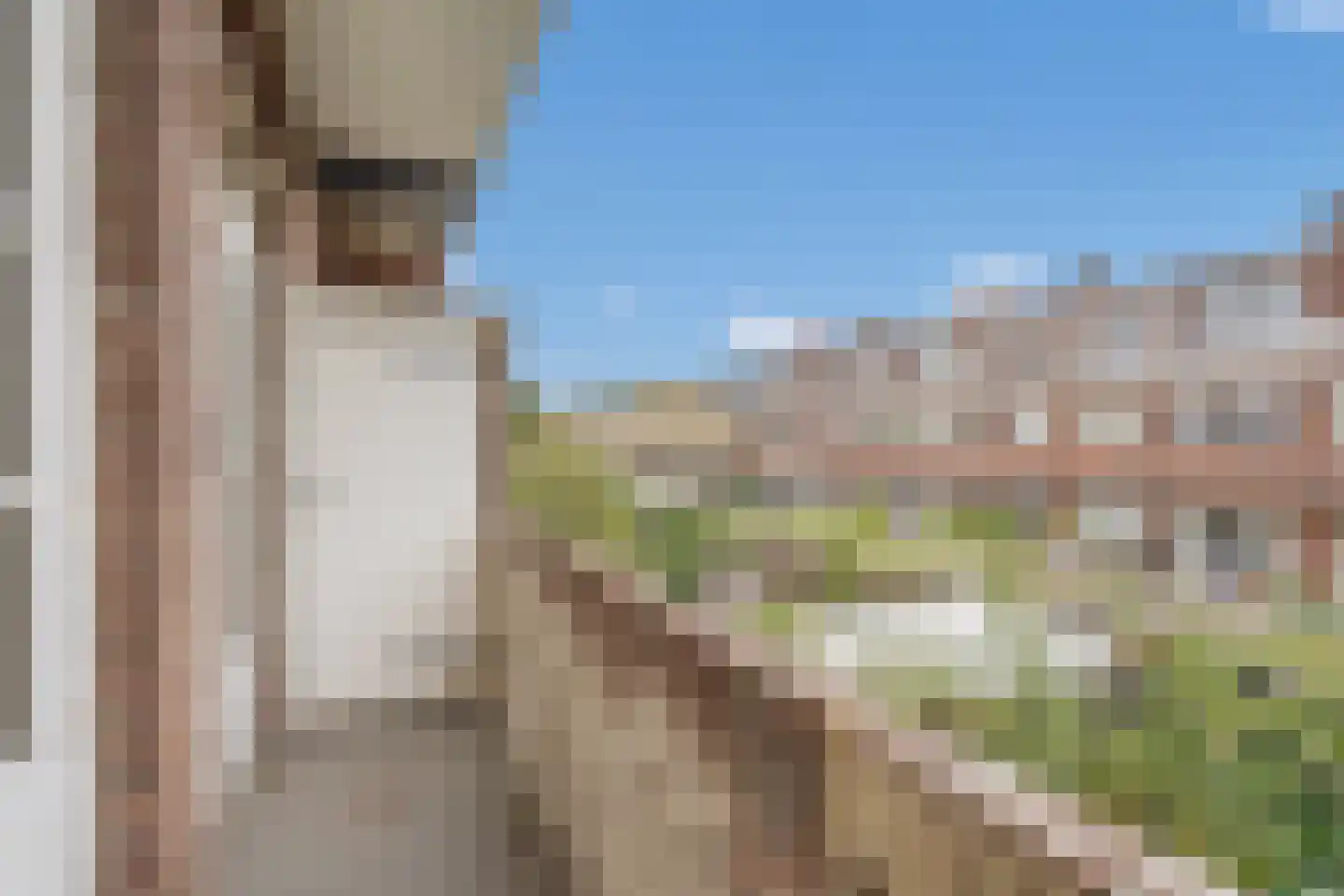 Perenstraat 21 Den Haag thumbnail 27