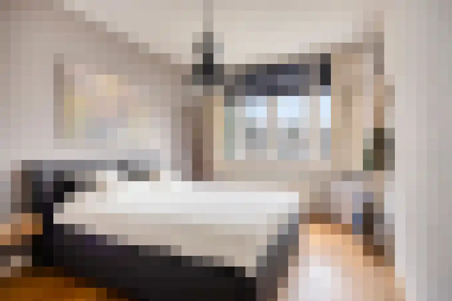 Perenstraat 63 Den Haag thumbnail 12