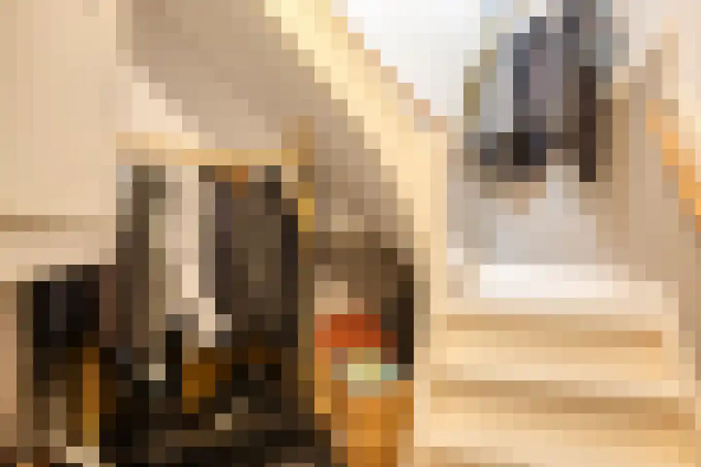 Perenstraat 63 Den Haag thumbnail 4