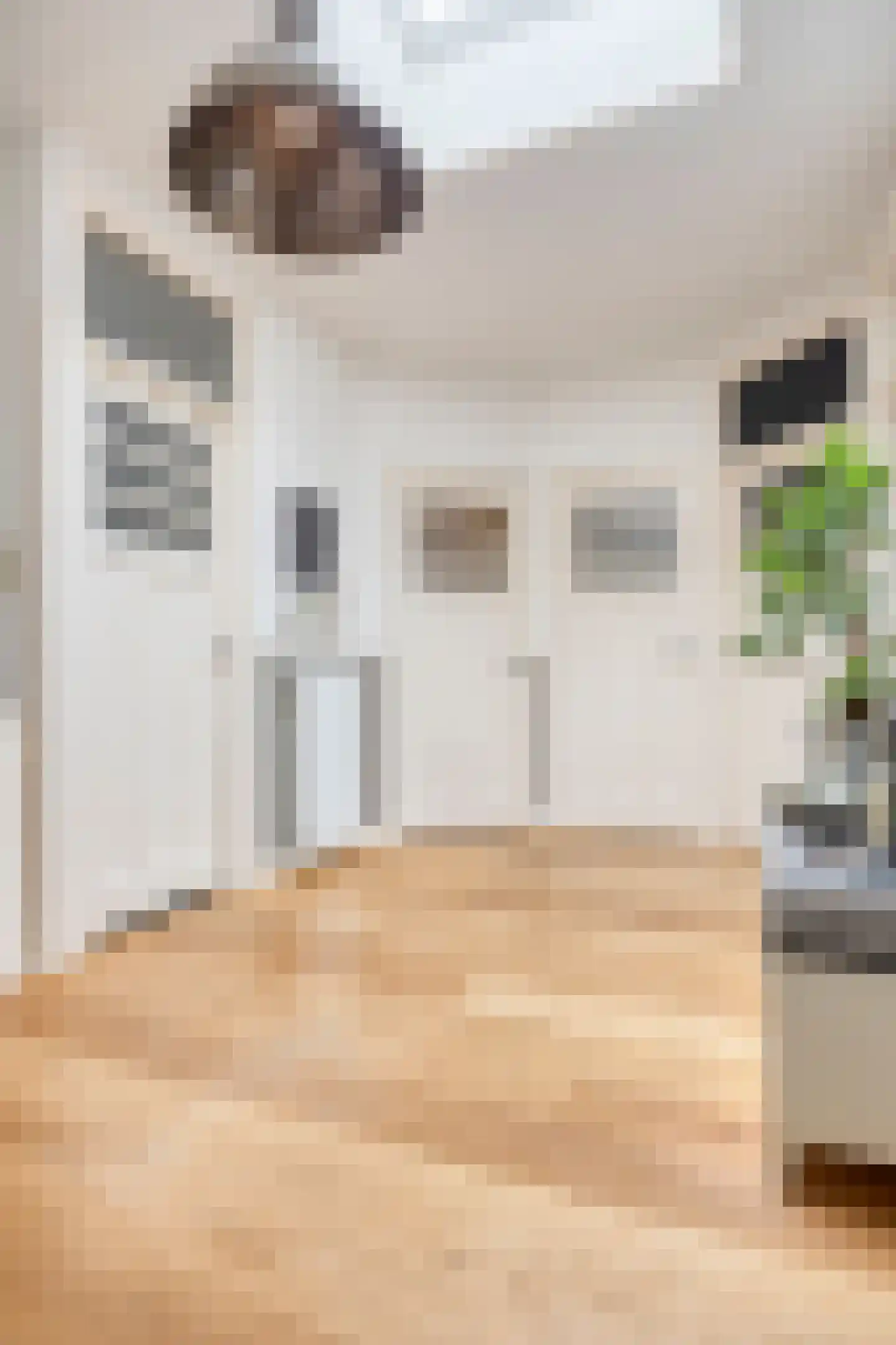 Perenstraat 63 Den Haag thumbnail 5