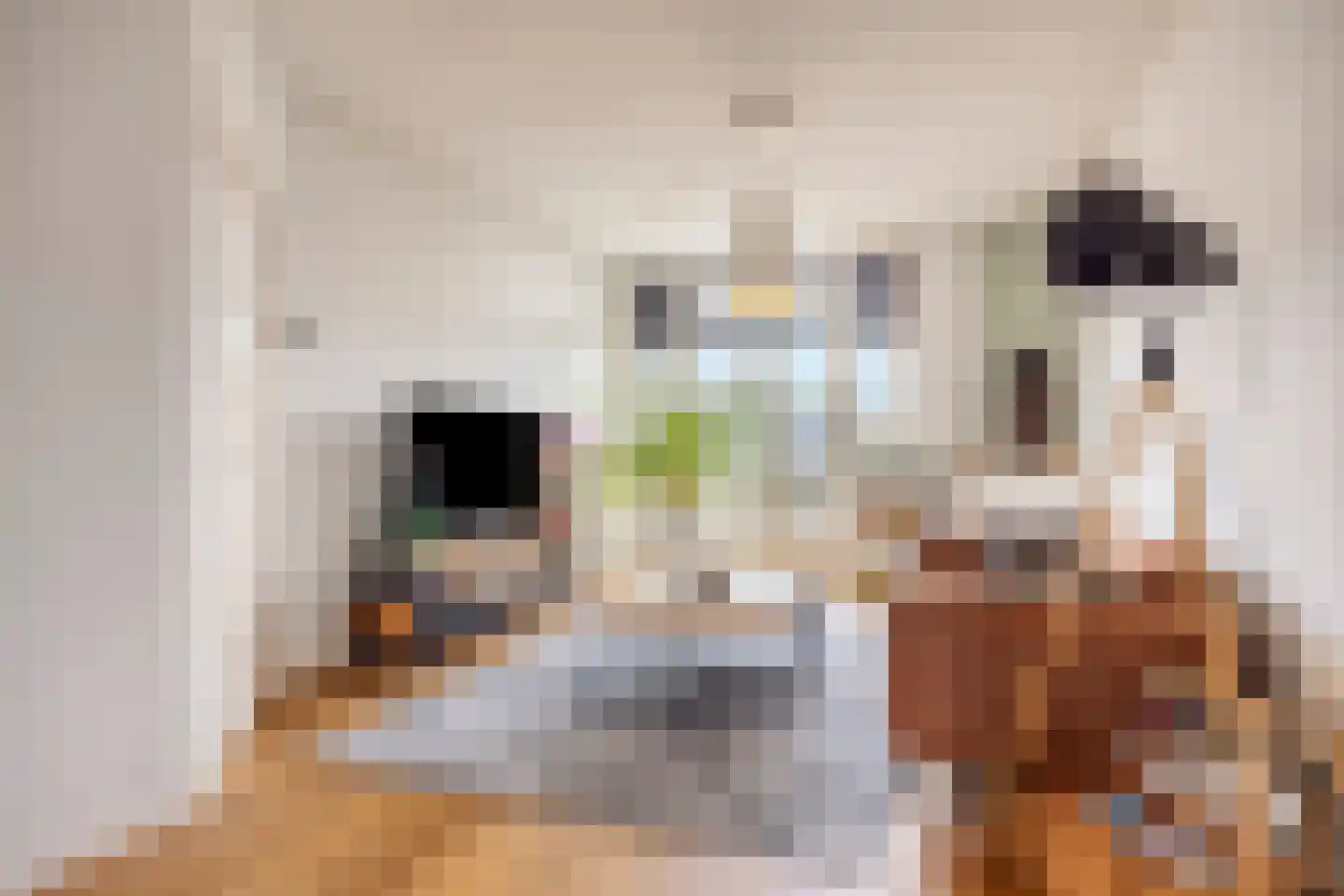 Perenstraat 63 Den Haag thumbnail 7
