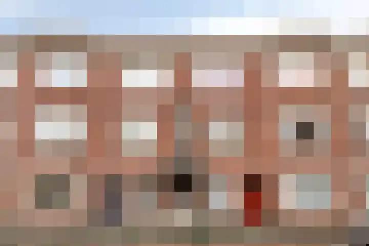 Perenstraat 66 Den Haag thumbnail 4