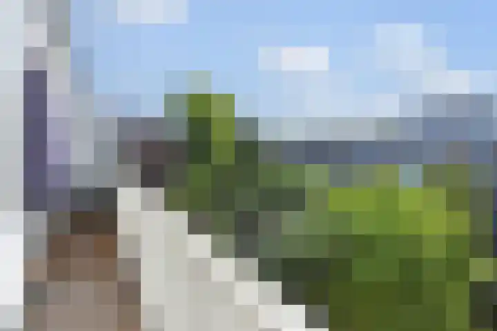 Perenstraat 76 Den Haag thumbnail 4