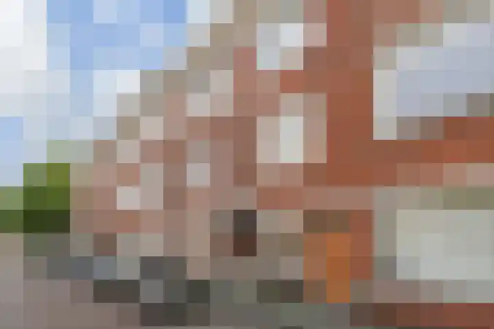 Perenstraat 76 Den Haag thumbnail 5