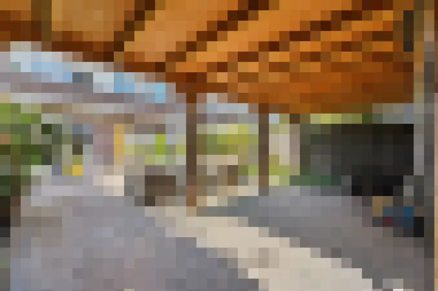 Perenstraat 82 Den Haag thumbnail 27
