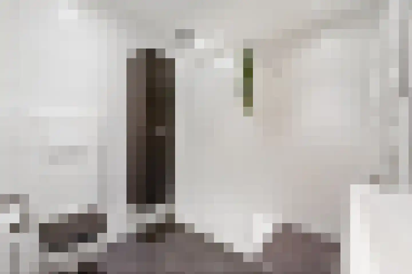 Perenstraat 82 Den Haag thumbnail 4