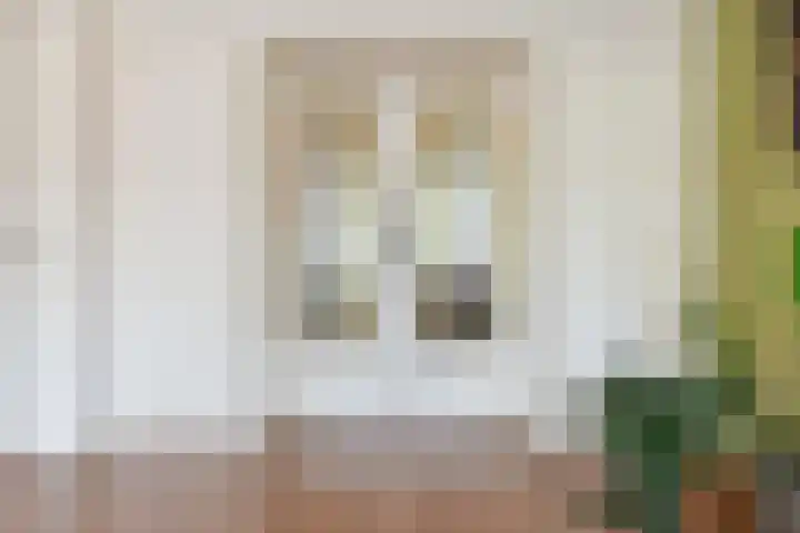 Perenstraat 99 Den Haag thumbnail 10