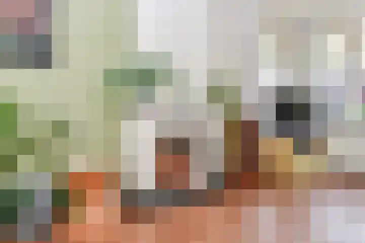 Perenstraat 99 Den Haag thumbnail 5