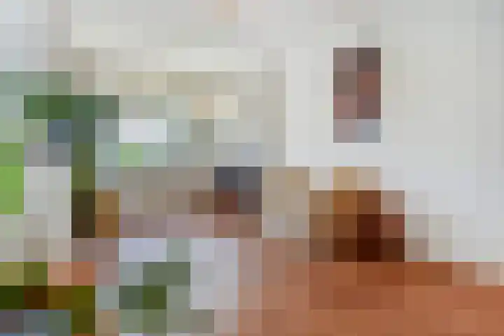 Perenstraat 99 Den Haag thumbnail 6