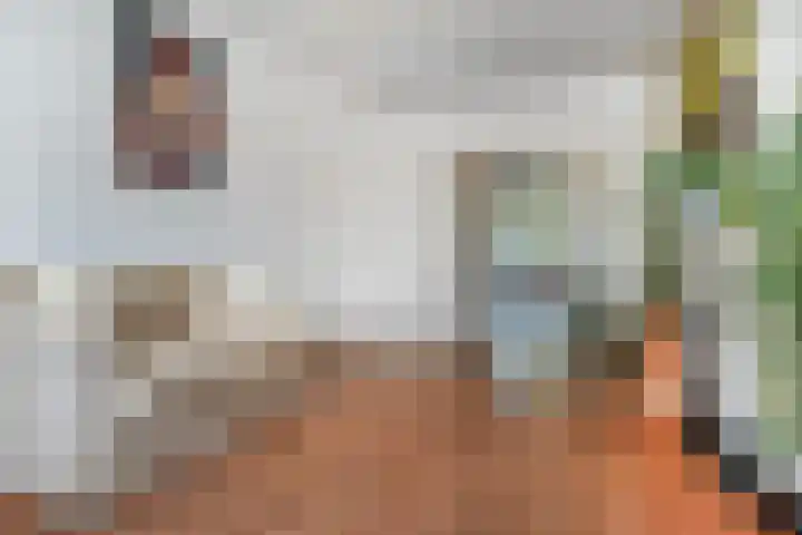 Perenstraat 99 Den Haag thumbnail 9