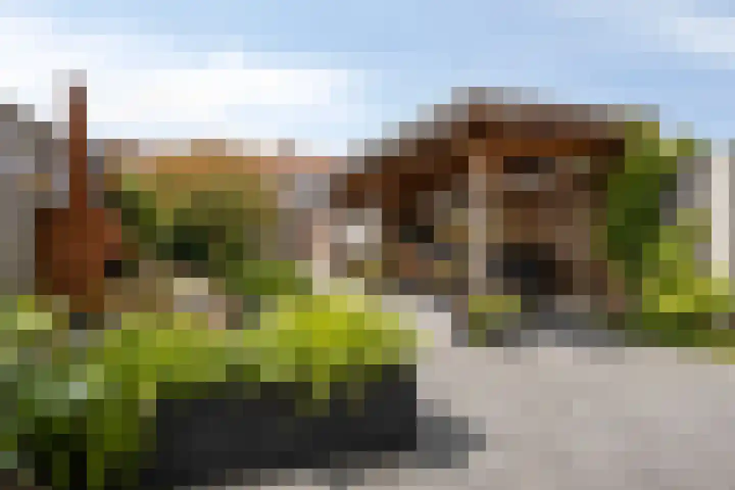 Perestraat 11 Goes thumbnail 26