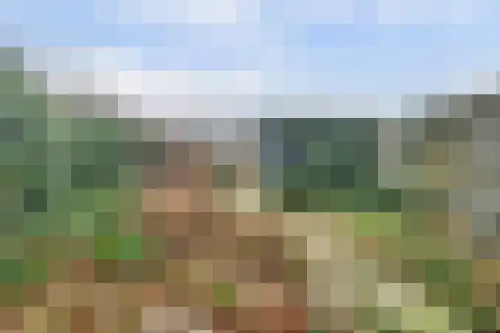 Perestraat 19 Goes thumbnail 21