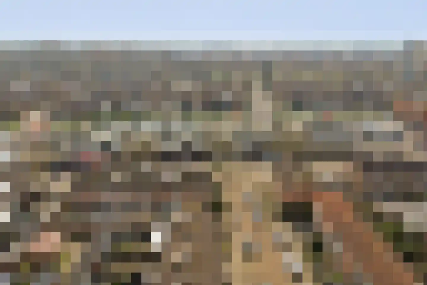 Perestraat 19 Goes thumbnail 31