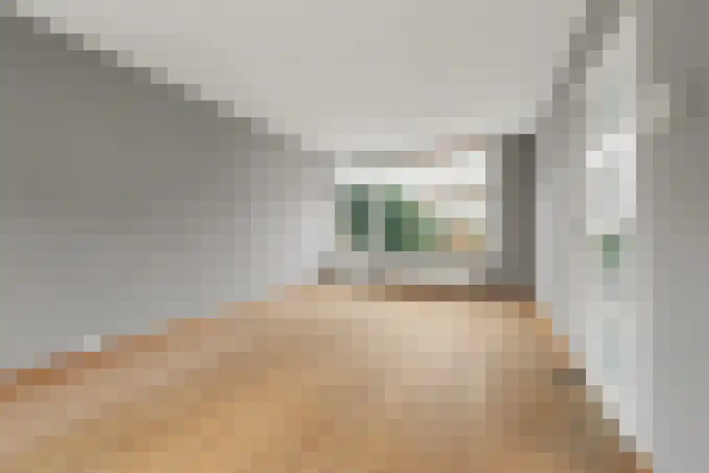 Perestraat 19 Goes thumbnail 8