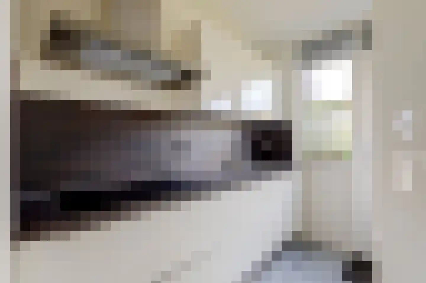 Perestraat 21 Goes thumbnail 5