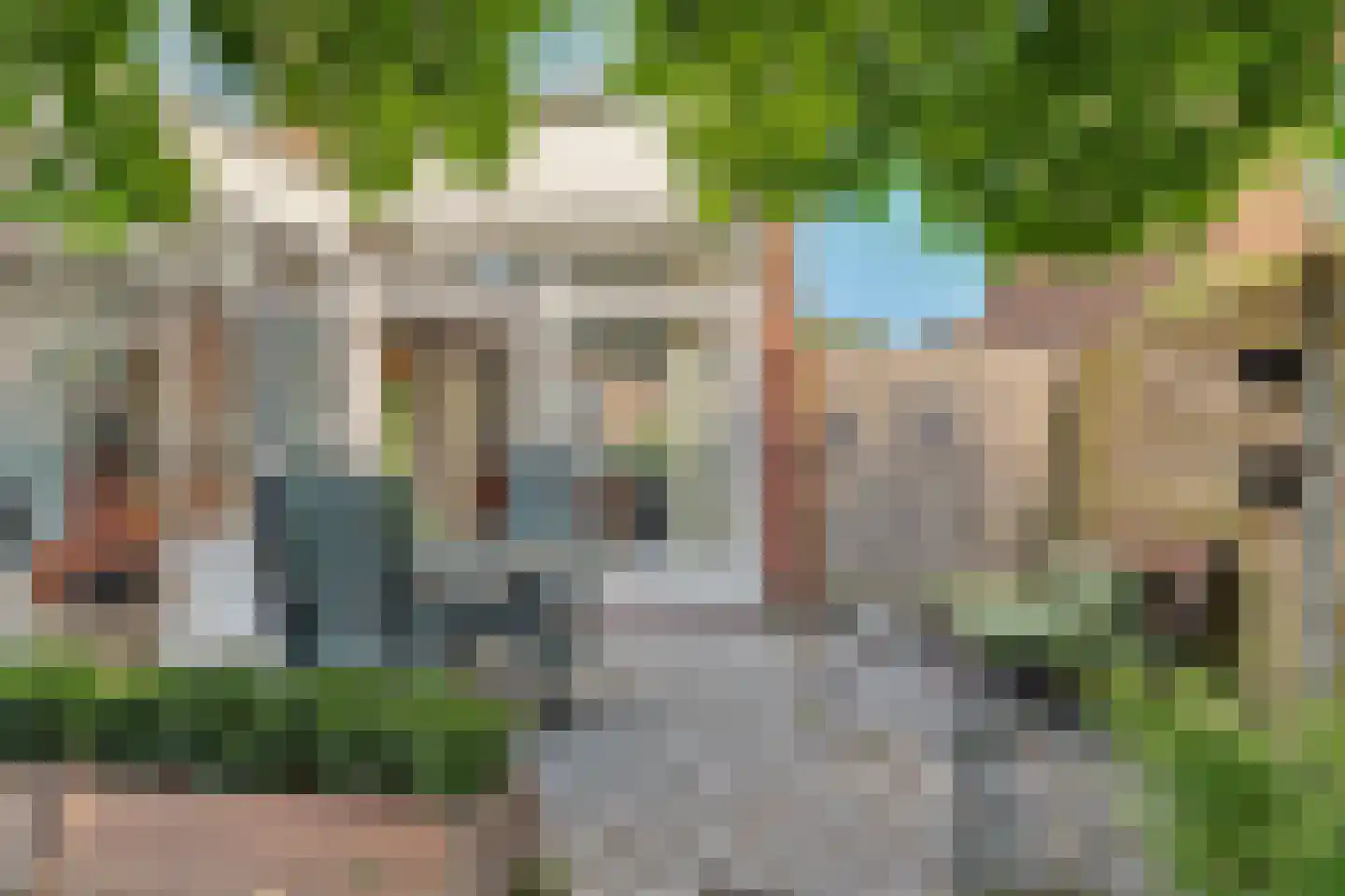Perestraat 23 Goes thumbnail 19