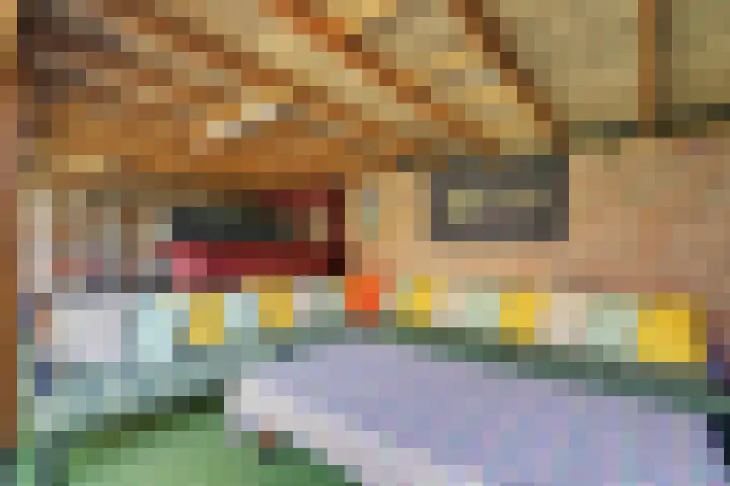 Perestraat 23 Goes thumbnail 32