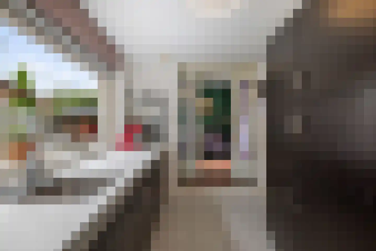 Perestraat 26 Deventer thumbnail 13