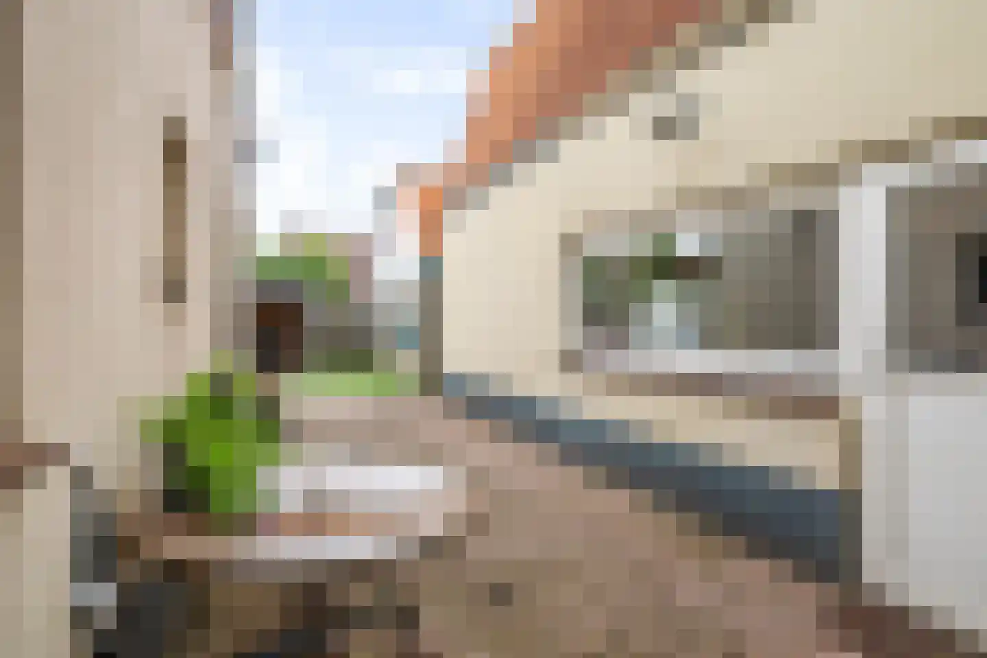 Perestraat 26 Deventer thumbnail 35