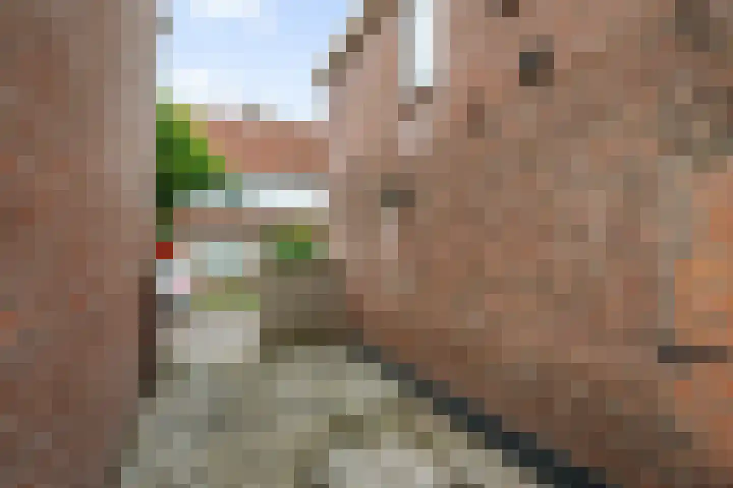 Perestraat 26 Deventer thumbnail 45