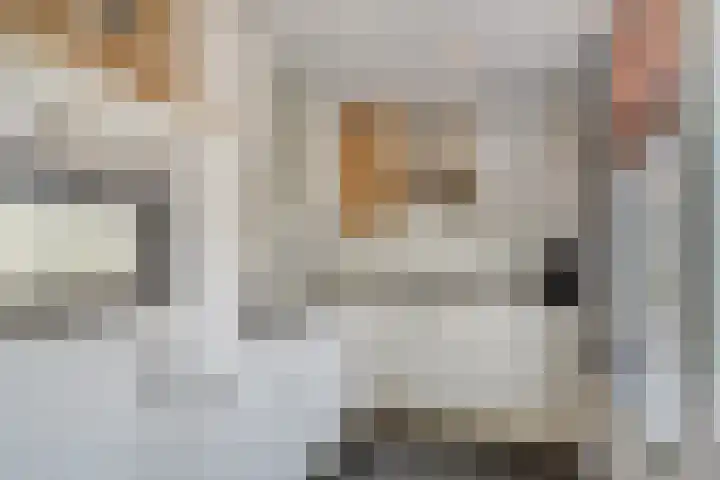 Perestraat 5 Goes thumbnail 14