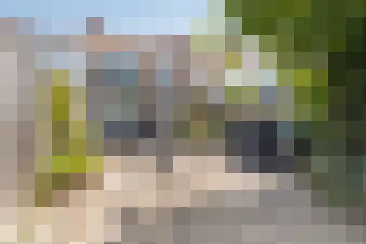 Perestraat 5 Goes thumbnail 30