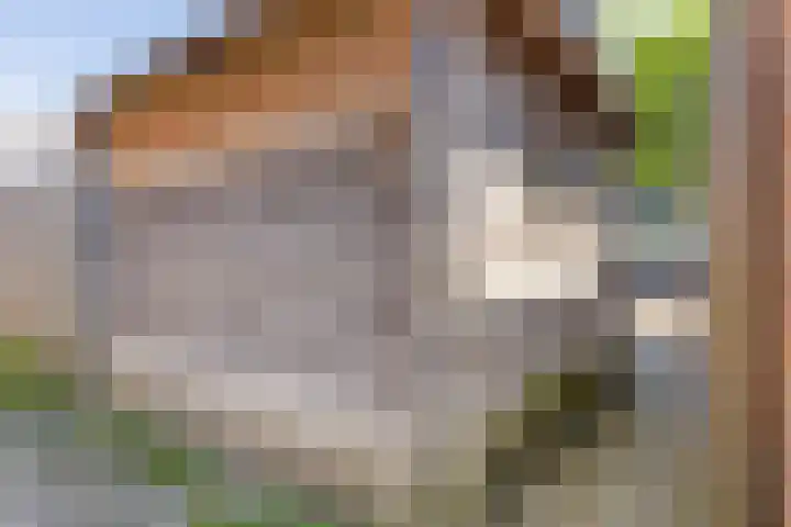 Perestraat 5 Goes thumbnail 32