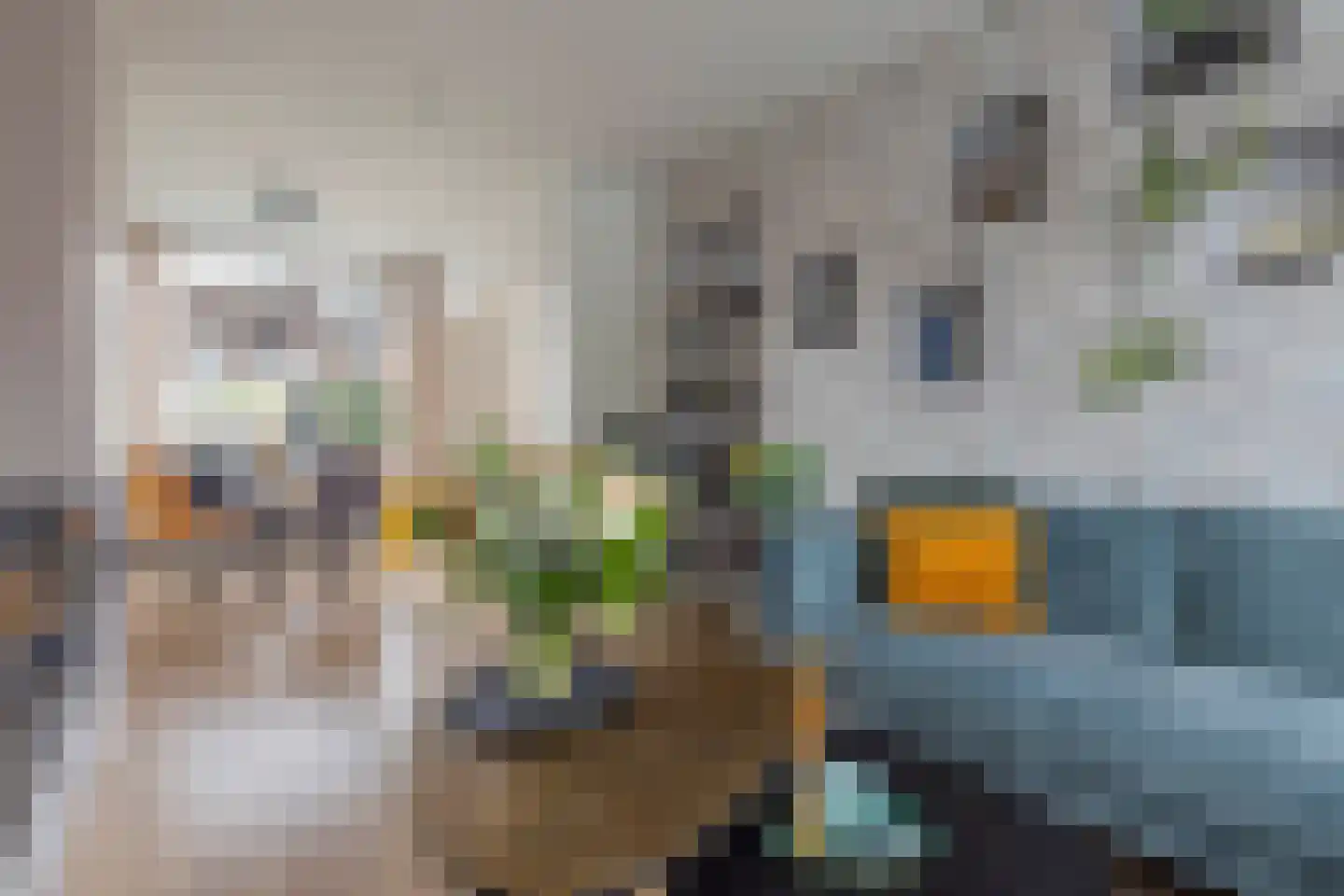 Perestraat 6 Goes thumbnail 10