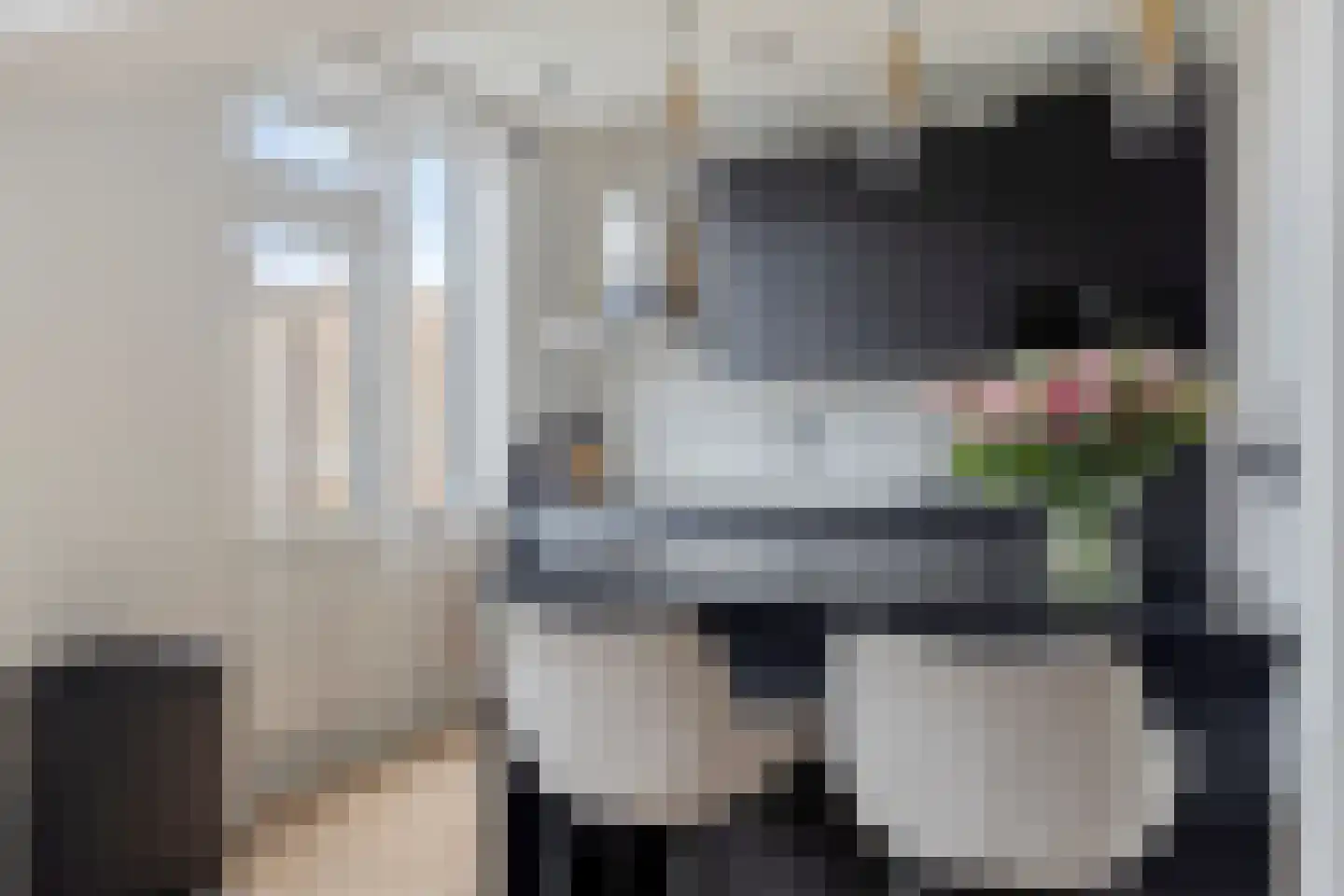 Perestraat 6 Goes thumbnail 15