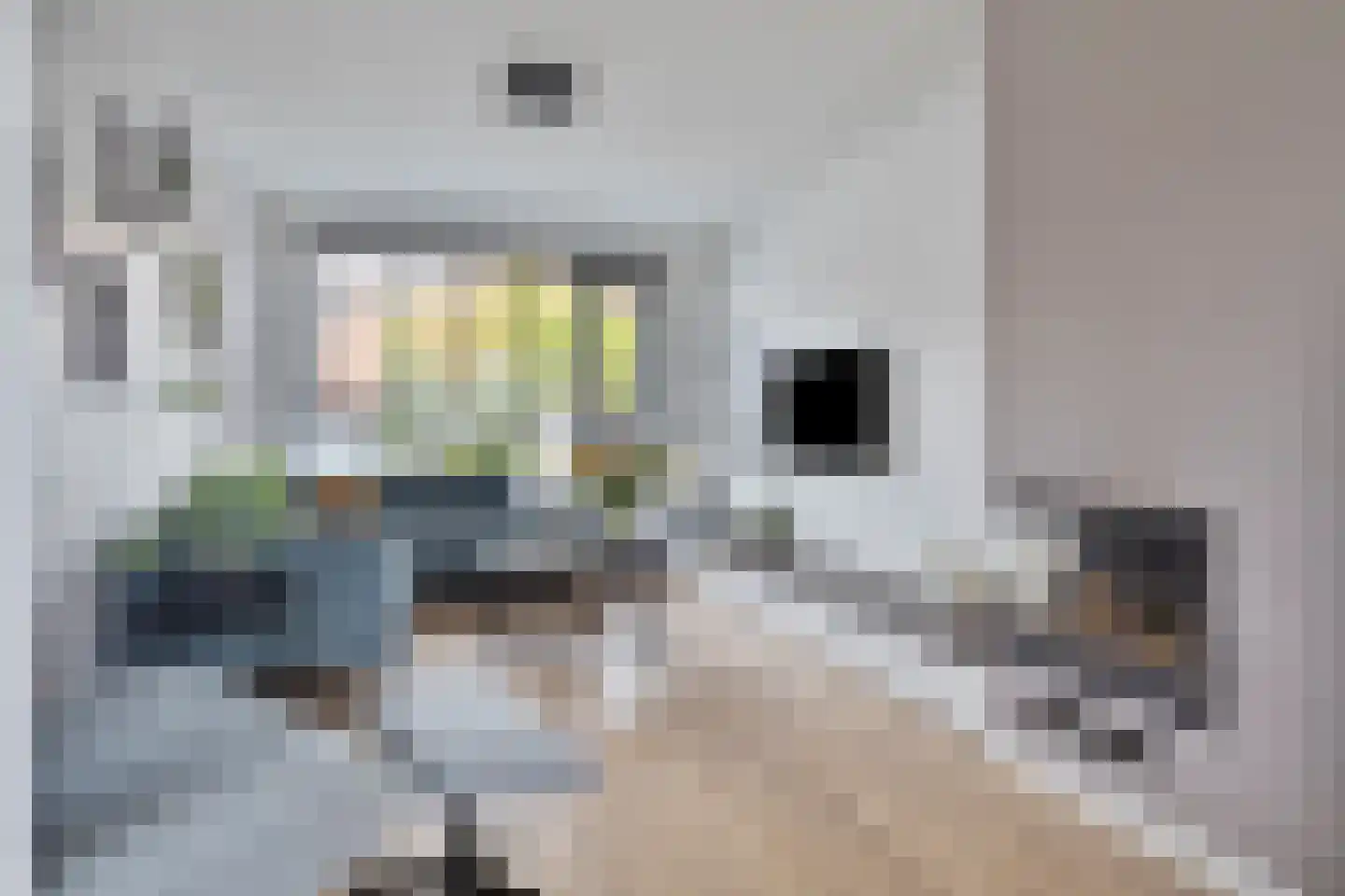 Perestraat 6 Goes thumbnail 7