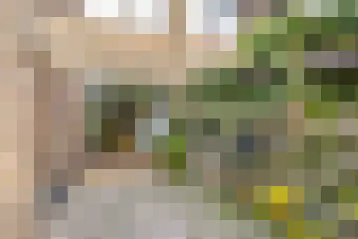 Pergamijndonk 142 Maastricht thumbnail 37