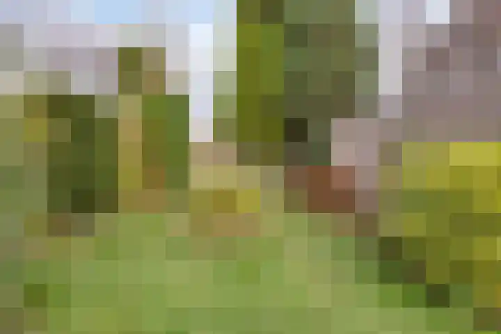 Pergamijndonk 142 Maastricht thumbnail 39