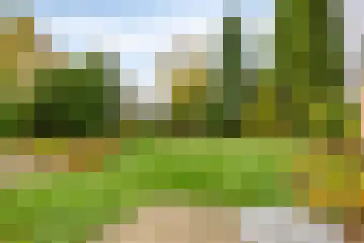 Pergamijndonk 142 Maastricht thumbnail 4