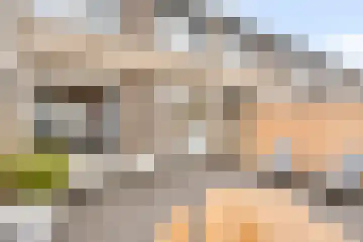 Pergamijndonk 54 Maastricht thumbnail 35