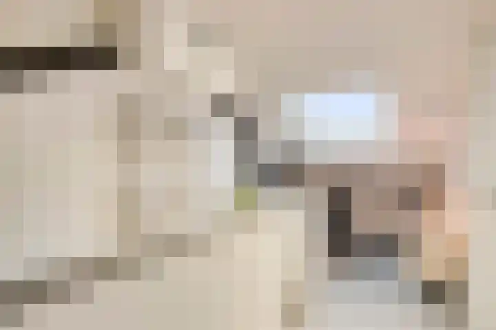 Pergamijndonk 54 Maastricht thumbnail 4