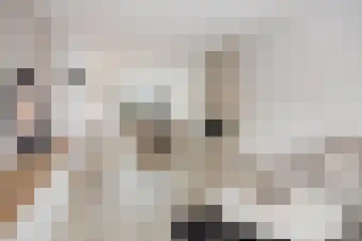 Pergamijndonk 70 Maastricht thumbnail 9