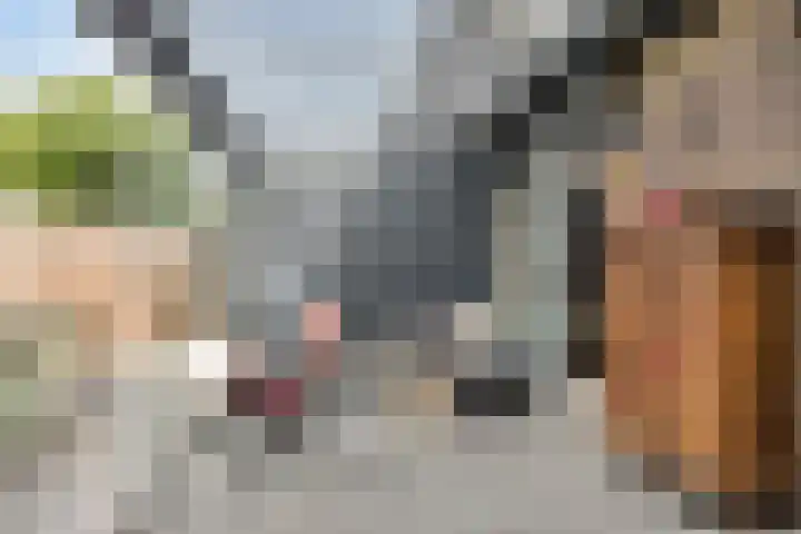 Pergamijndonk 8 Maastricht thumbnail 13
