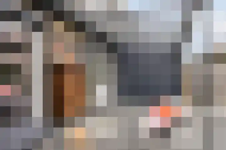 Pergamijndonk 8 Maastricht thumbnail 14