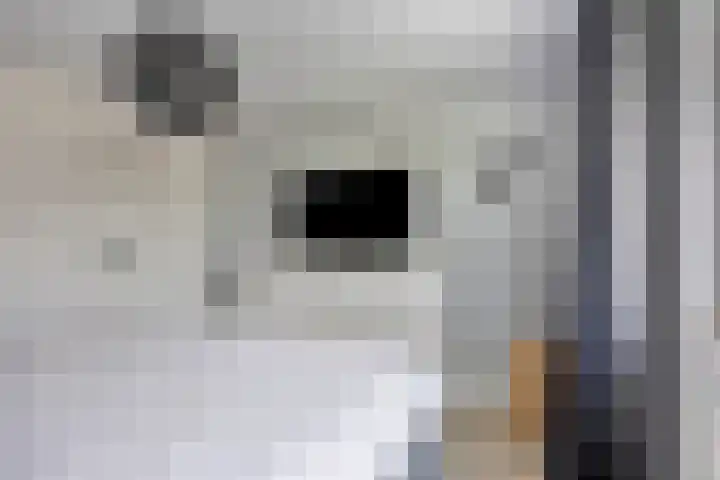 Pergamijndonk 8 Maastricht thumbnail 19