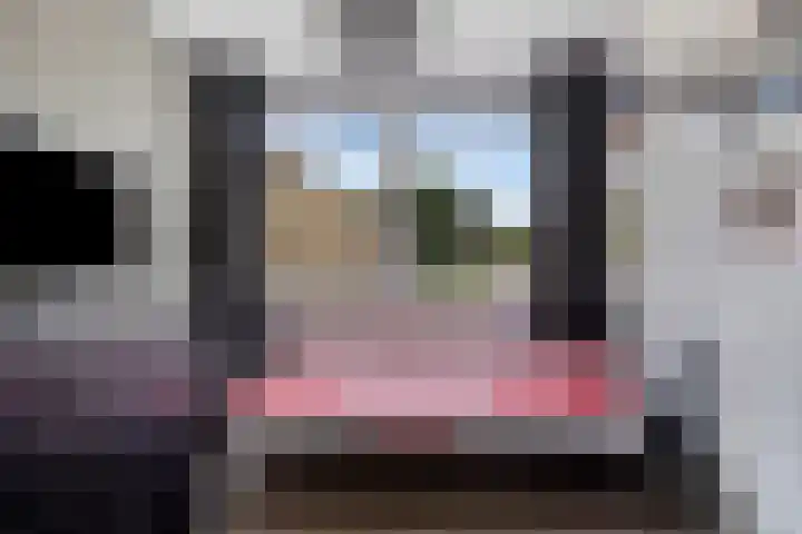 Pergamijndonk 8 Maastricht thumbnail 22