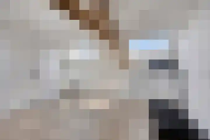 Pergamijndonk 8 Maastricht thumbnail 27