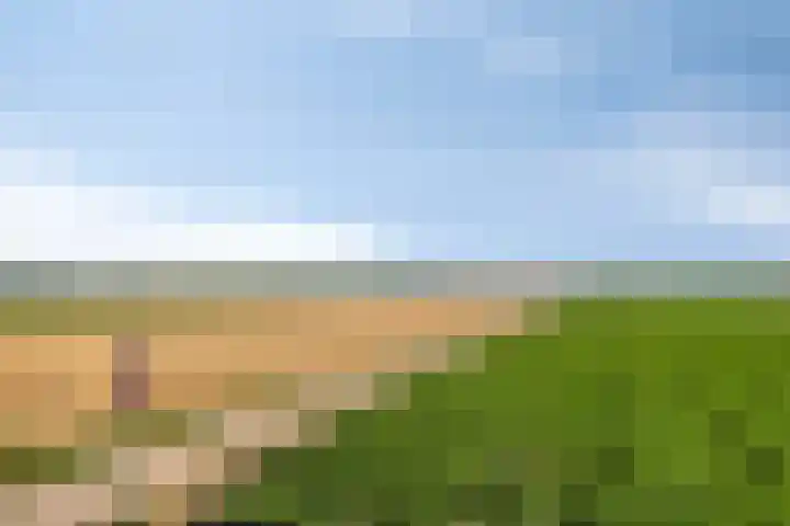 Pergamijndonk 8 Maastricht thumbnail 30